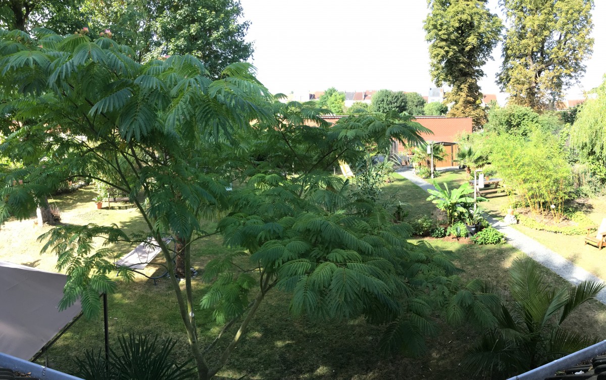 Achtertuin_panorama_20170807.jpg